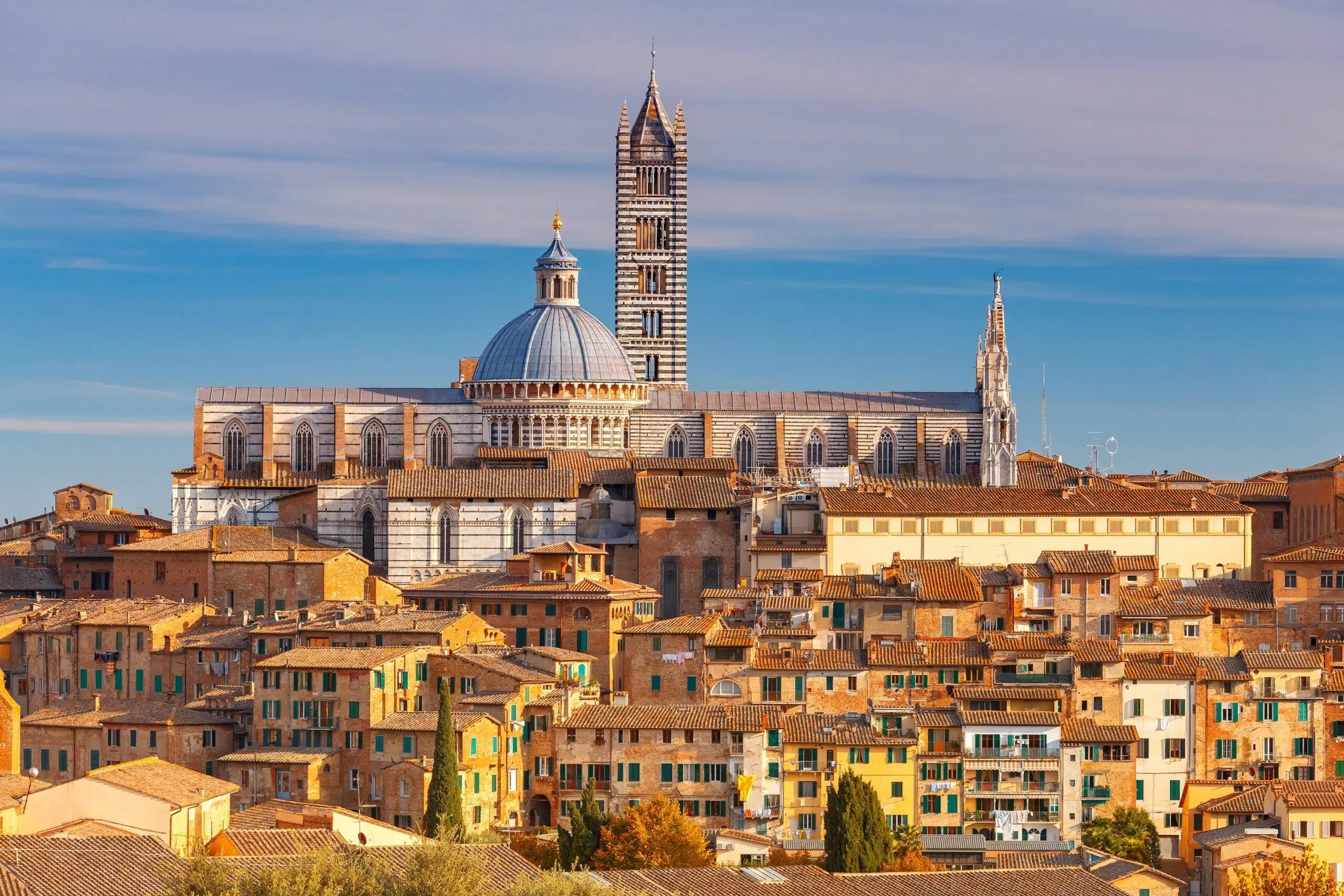 Wide hill view of Siena Cathedral and dome