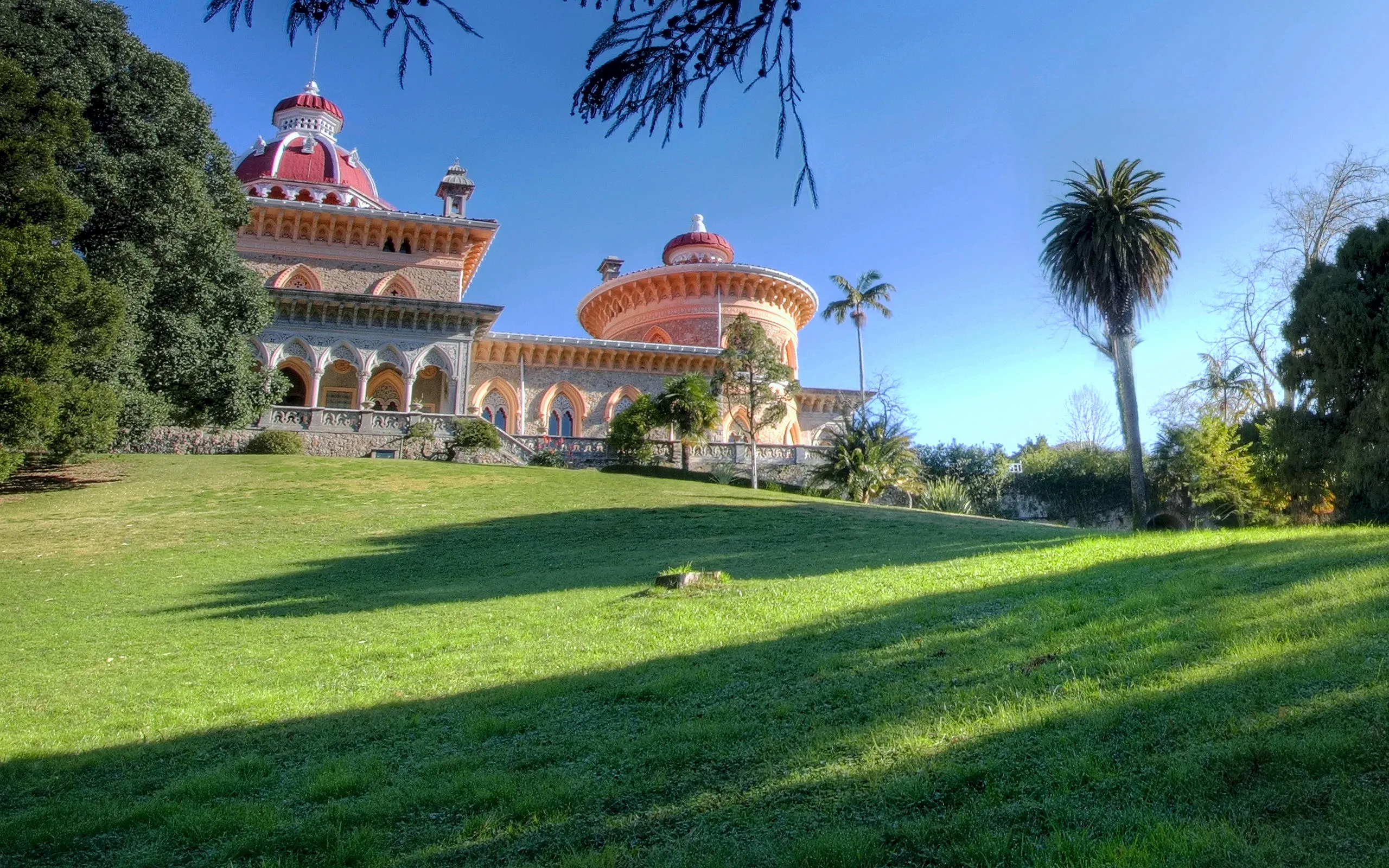 Garden lawn