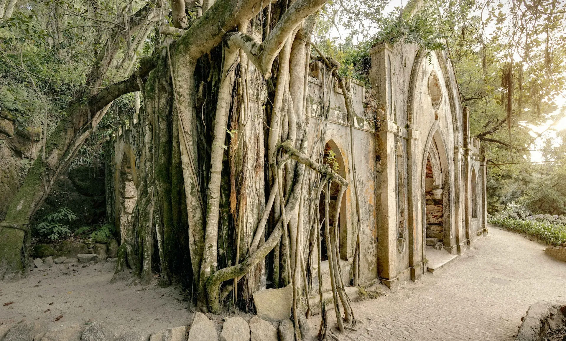 Gardens of Monserrate: A Botanical World Tour in Sintra