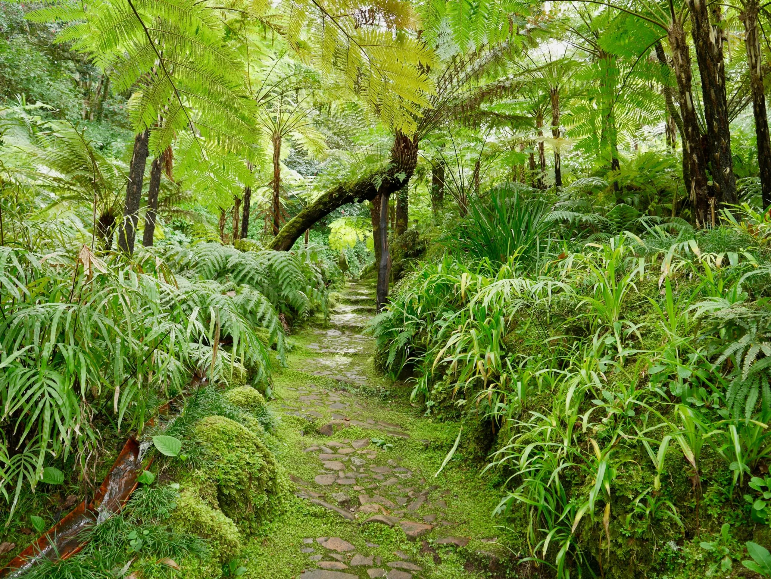 Pathway approach