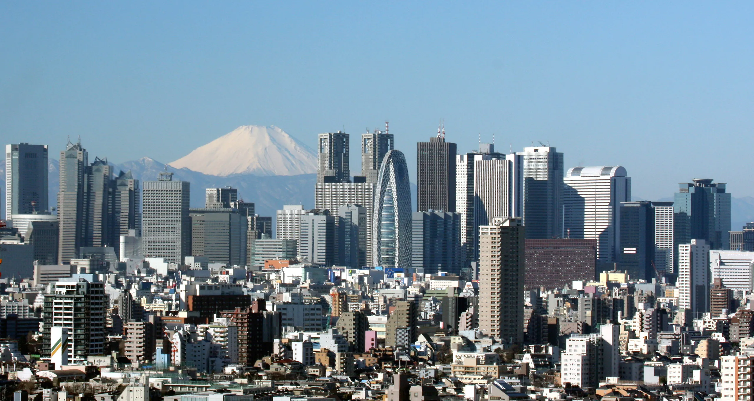 Tokyo Skyline with Mount Fuji