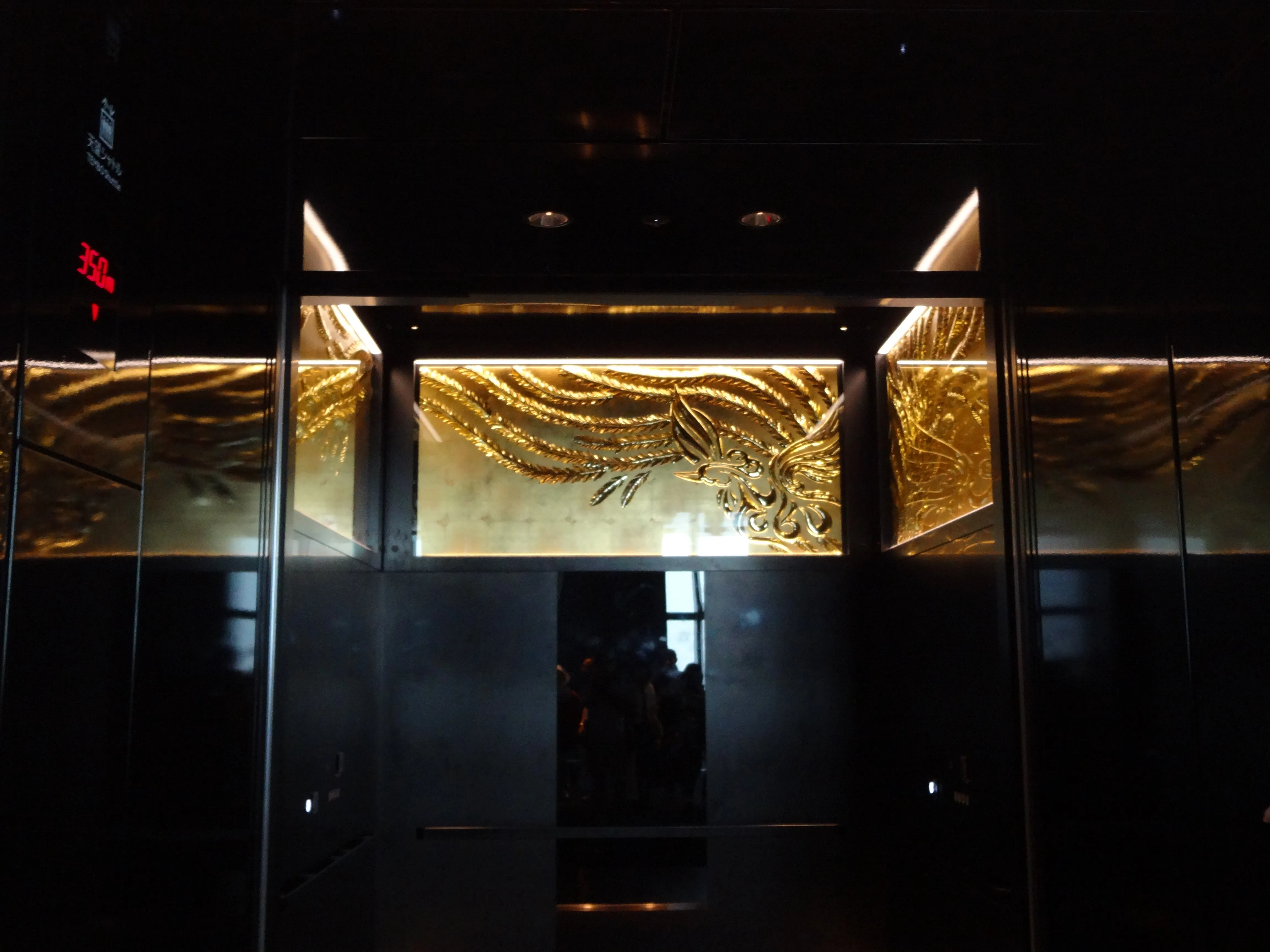 View from the Tembo Shuttle at night