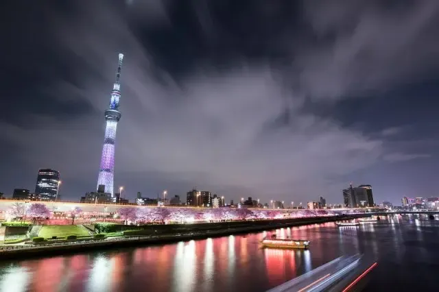 Tokyo Skytree from Sumida Park