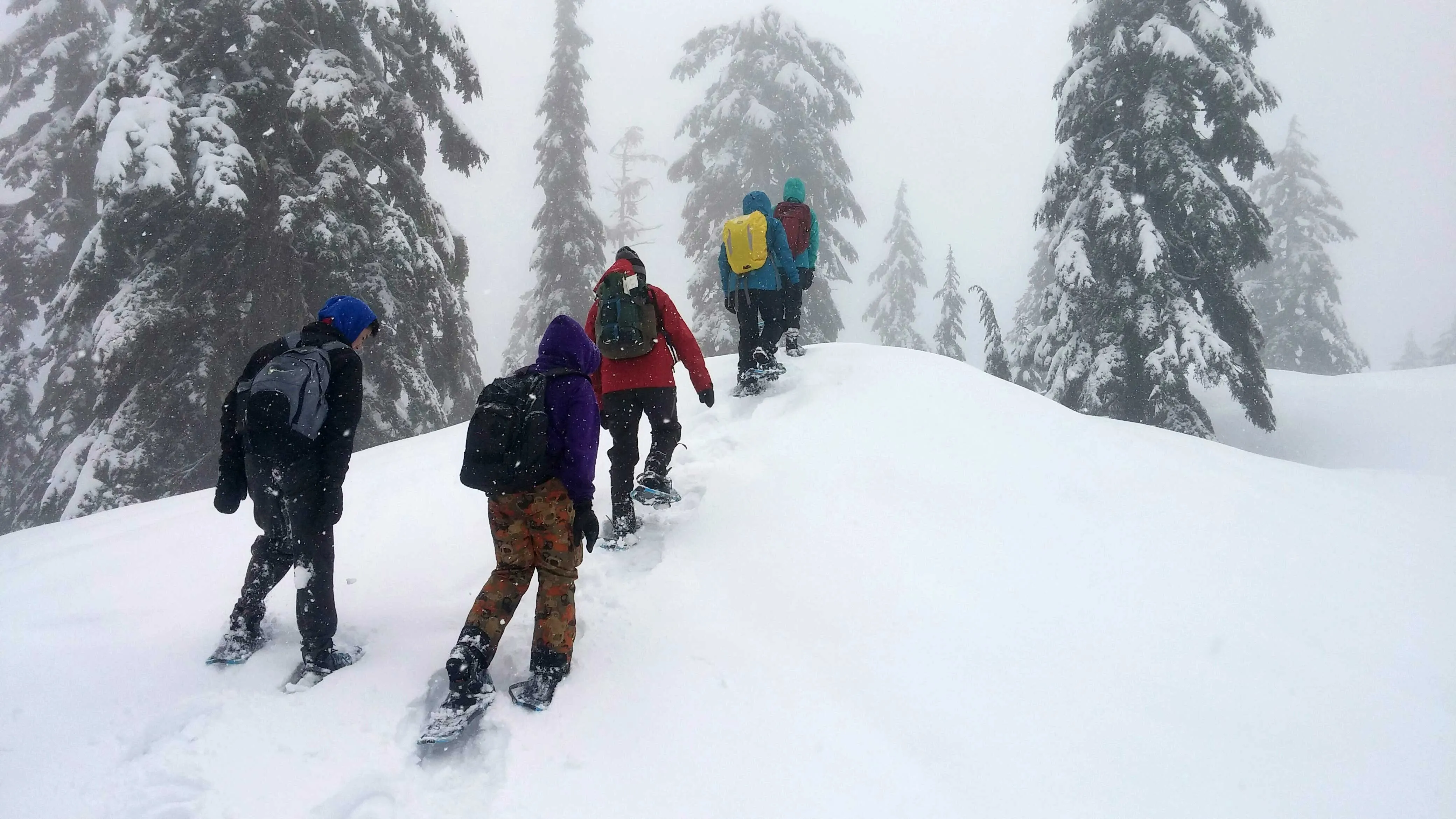 Grouse Mountain: Small Group Guided Tour + Roundtrip Transport