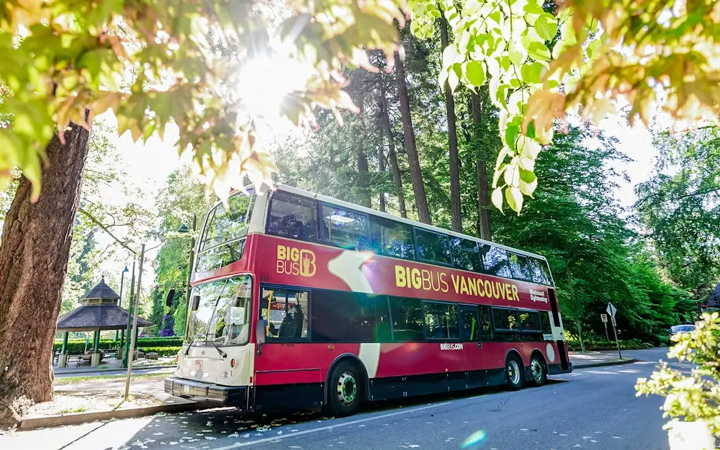 Open-top sightseeing bus with happy tourists