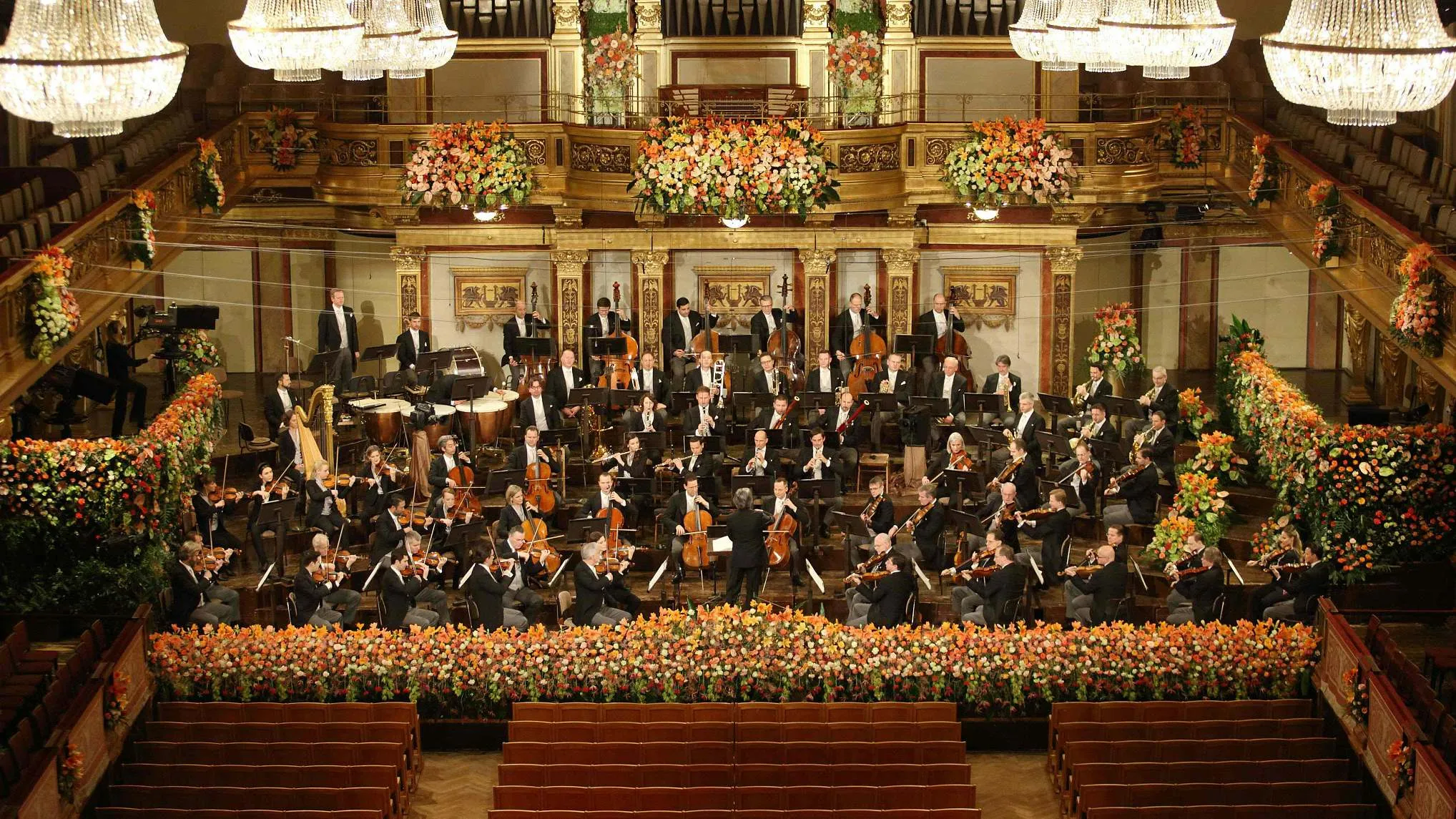 Vienna Philharmonic New Year's concert performance
