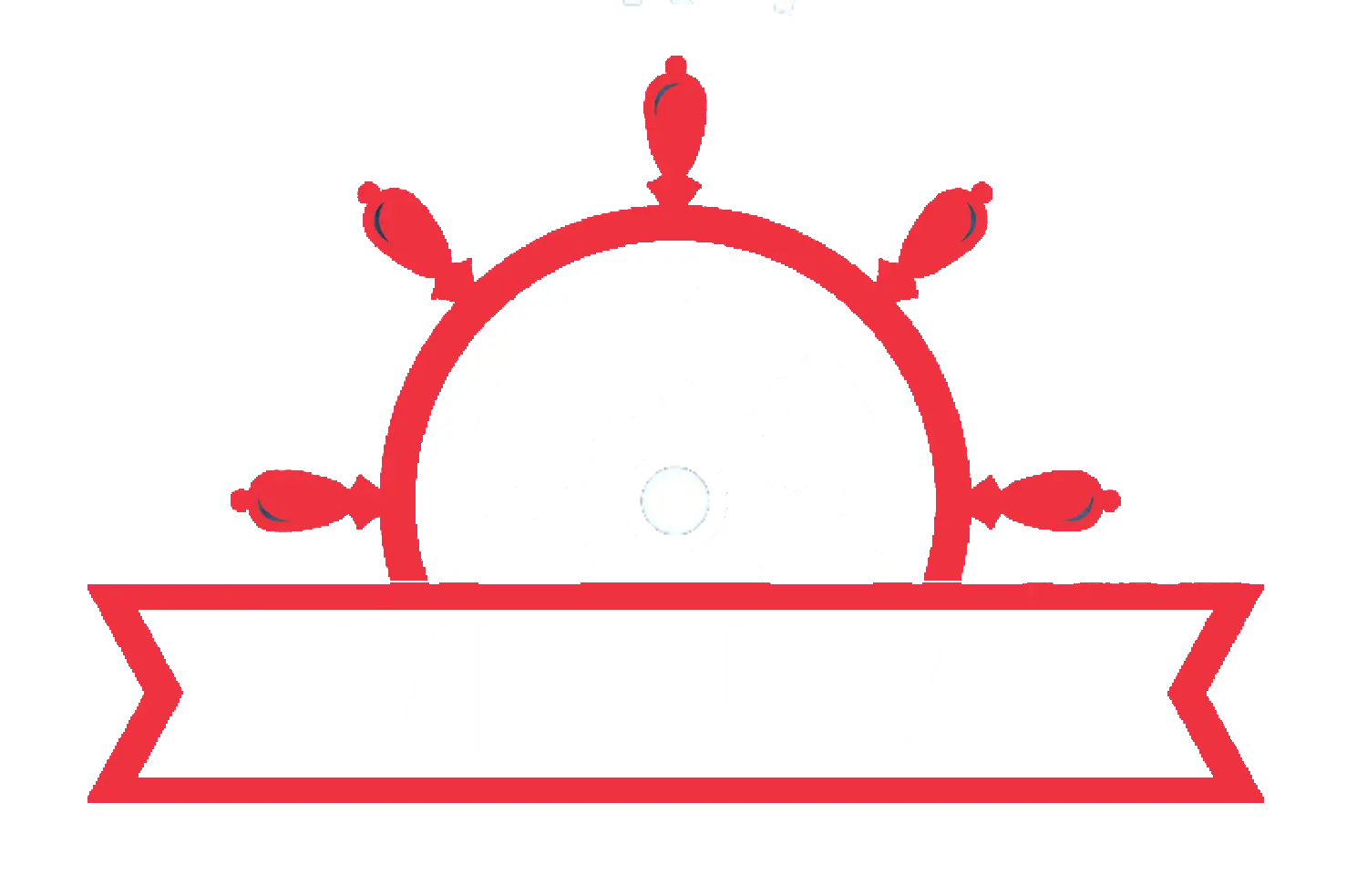 Vienna Danube River Cruises Logo