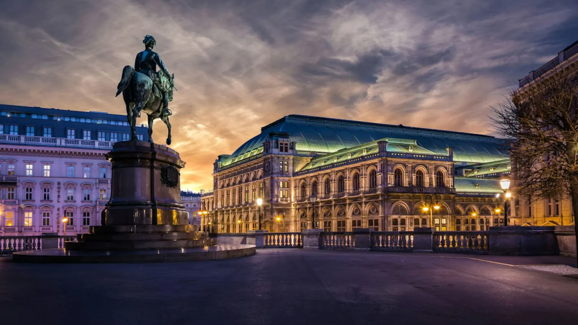 HOHO vs Public Tram: Which Ride, When?